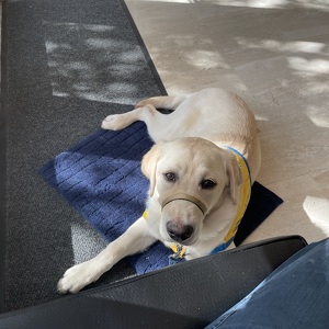 Fundraising Page: Connie Sherman